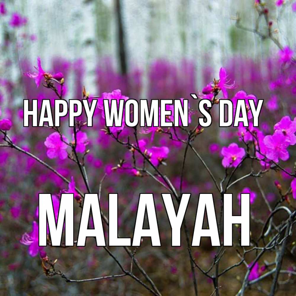 Greetings card с именем, Malayah happy women`s day дикие цветы Greetings with text for free download 